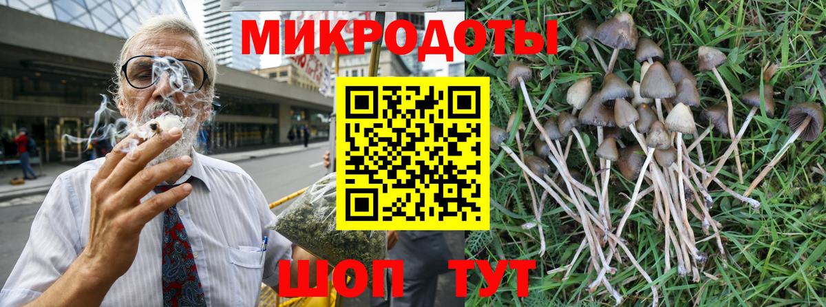 Псилоцибиновые грибы Psilocybe Сланцы