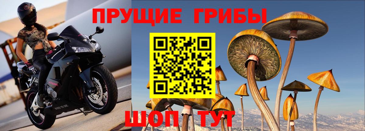 Галлюциногенные грибы мухоморы  Вход с VPN  продажа наркотиков  Сланцы 
